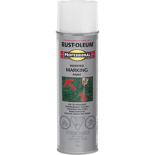 Inverted Marking Paint Spray, 426 g, Aerosol Can Cam Industrial