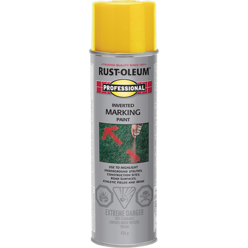 Peinture de marquage renvers&eacute; en a&eacute;rosol, 426 g, Canette a&eacute;rosol Cam Industrial