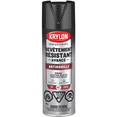 Tough Coat&reg; Advanced Paint with Rust Barrier Technology, Black, High-Gloss, 425 g, Aerosol Can Cam Industrial