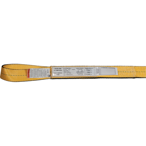&eacute;lingues de levage en nylon, Pli Simple, Oeillet double, Type 3, 4" la x 3' lo, Limite de charge verticale 6200 lb Cam Industrial