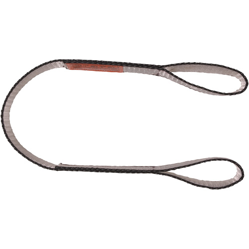 Polyester Web Sling, Double Ply, Double Eye, Type 3, 1" W x 4' L, 3100 lbs. Vertical Cap. Cam Industrial