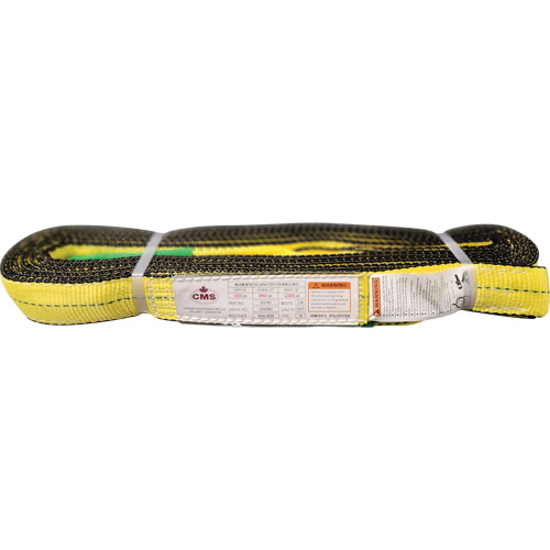 Polyester Web Sling, Double Ply, Twisted Eye, Type 4, 2" W x 20' L, 6400 lbs. Vertical Cap. Cam Industrial