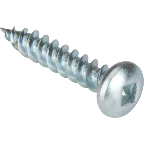 Vis taraudeuse &agrave; t&ecirc;te cylindrique, #10 x 1-1/4" lo, Zingu&eacute; Cam Industrial