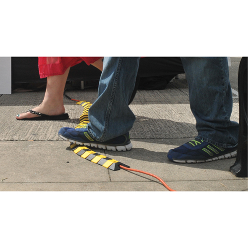 Syst&egrave;me de protection de c&acirc;bles Ultra-Sidewinder - petit , 39,5" x 3" x 0,75", 32000 lb (16 tonnes) Cam Industrial
