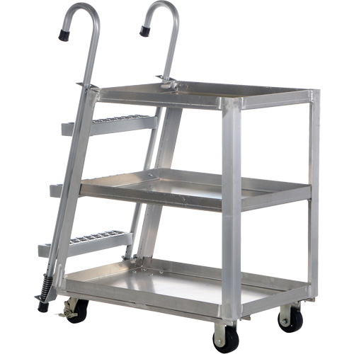 Stockpicker Truck, Aluminum, 21-7/8" W x 40" D, 3 Shelves, 660 lbs. Capacity Cam Industrial