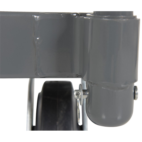 Platform Truck, 48" L x 24" W, 2000 lbs. Capacity, Rubber Casters Cam Industrial