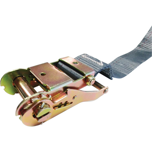 Tendeur d'arrimage &agrave; cliquet, Syst&egrave;me E-Track, 2" , 16' , Charge d'utilisation max. 1333 lb (605 kg) Cam Industrial