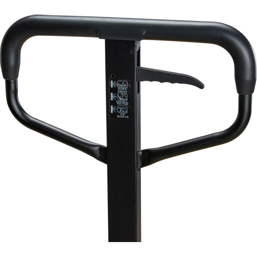 Steel Wheel Pallet Truck, Steel, 48" L x 27" W, 5500 lbs. Capacity Cam Industrial