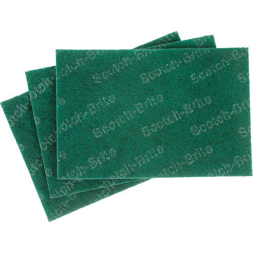 Tampons manuels Scotch-Brite, 9" lo x 6" la Cam Industrial