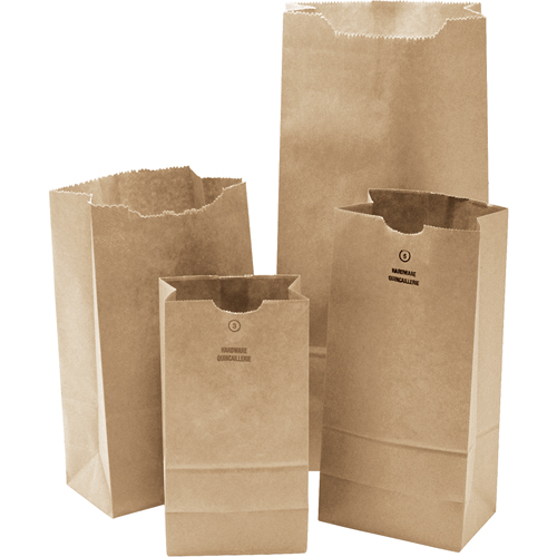 Paper Bags, Paper, 4-13/16" W x 8-1/2" L Cam Industrial