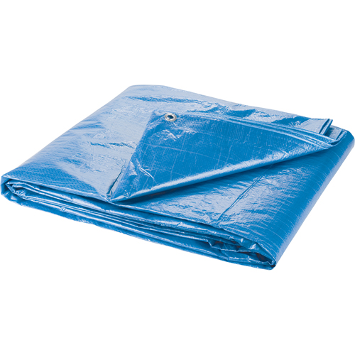 Tarp, Standard Duty, Blue, 7' x 5' x 4 mils Cam Industrial