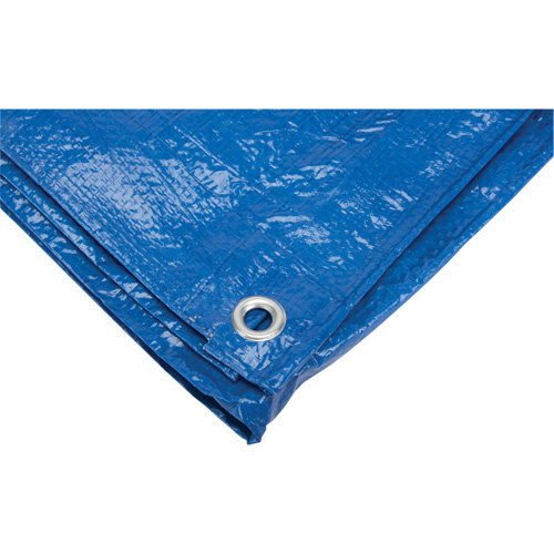 Tarp, Standard Duty, Blue, 7' x 5' x 4 mils Cam Industrial