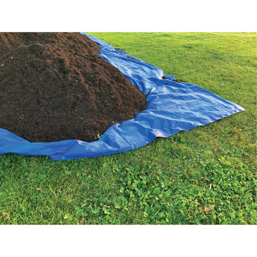 Tarp, Standard Duty, Blue, 7' x 5' x 4 mils Cam Industrial