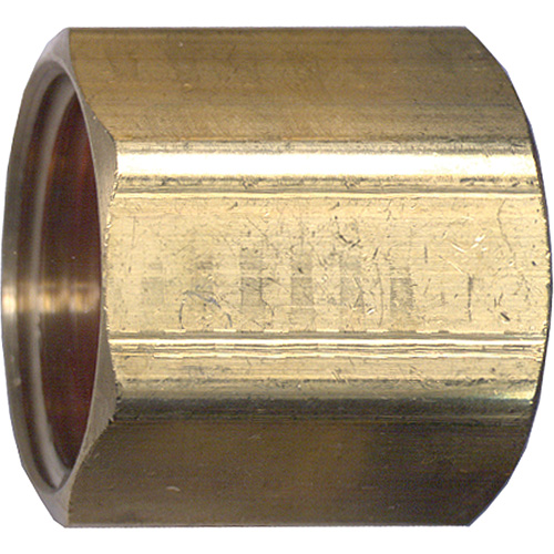 Pipe Coupling, Brass, 3/4' Cam Industrial