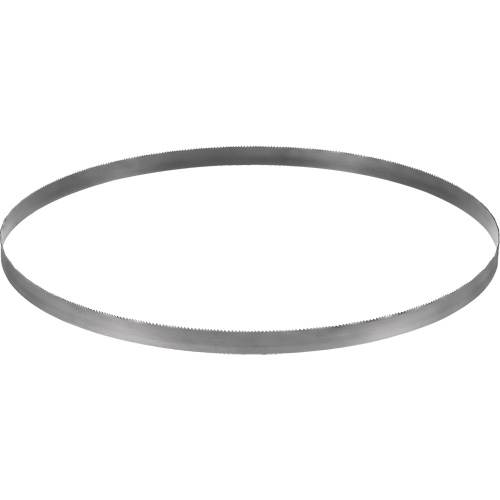 Lame de scie &agrave; ruban sans fil, Bim&eacute;tal, 32-7/8" lo x &eacute;paisseur 0,02", 14-18 dents par pouce Cam Industrial