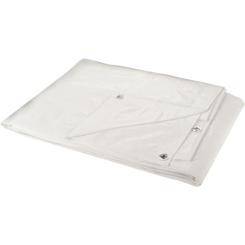 Tarp, Heavy-Duty, White, 8' x 6' x 6 mils Cam Industrial
