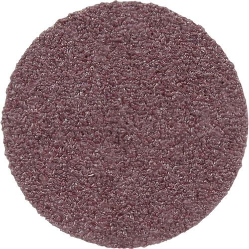 Meule en toile PSA 348D, 20" dia., Grain 60, Oxyde d'aluminium Cam Industrial