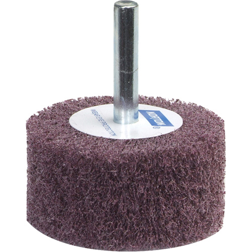 Meule &agrave; lamelles abrasives Bear-Tex Cam Industrial