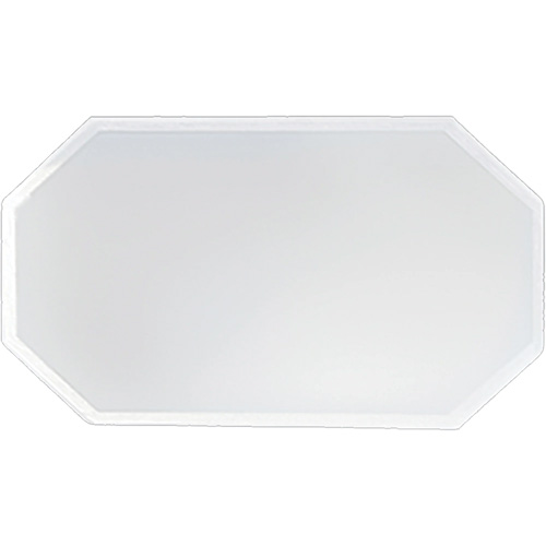 Replacement Plastic Shield for Suction & Pressure Cabinets Cam Industrial