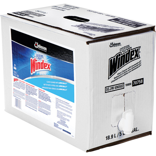 Windex&reg; Glass Cleaner with Ammonia-D&reg;, 5 gal., Bag Cam Industrial