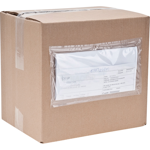 Packing List Envelopes, 3-3/4" L x 7" W, Computer Style Cam Industrial