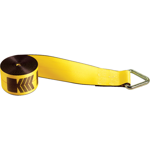 Winch Straps, Delta Ring, 4" W x 30' L, 5400 lbs. (2450 kg) Working Load Limit Cam Industrial