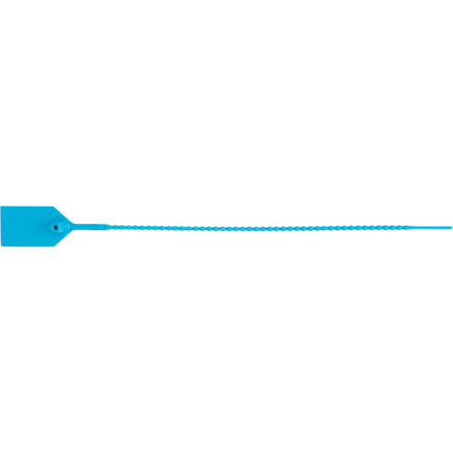 Scell&eacute; de s&eacute;curit&eacute; standard, 12", Plastique, Scell&eacute; en plastique Cam Industrial