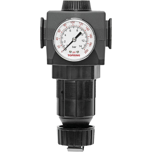 Regulator with Gauge Modulair 400, 3/4" NPTF, 125 PSI Max. PSI, In Line/Modular Cam Industrial