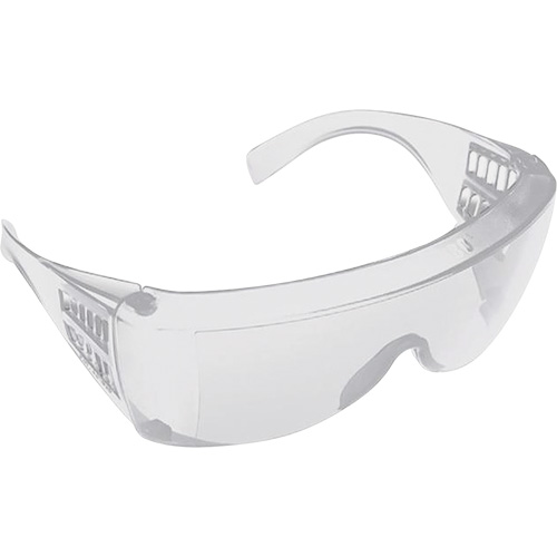 Visitor Spectacles, Clear Lens, Anti-Scratch/Polarized, ANSI Z87+/Meets/Exceeds CSA Z94.3 Cam Industrial