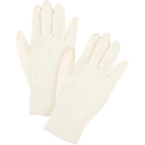 Gants jetables, T-Grand, Latex, 11 mils, Poudr&eacute;s, Transparent, Classe 2 Cam Industrial