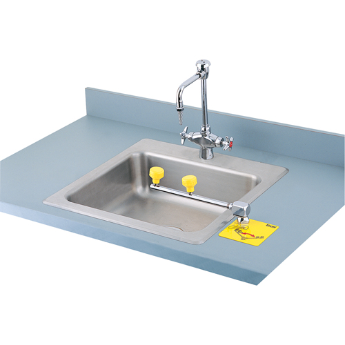 Poste de douche oculaire Swing-Away, Installation Montage sur comptoir Cam Industrial