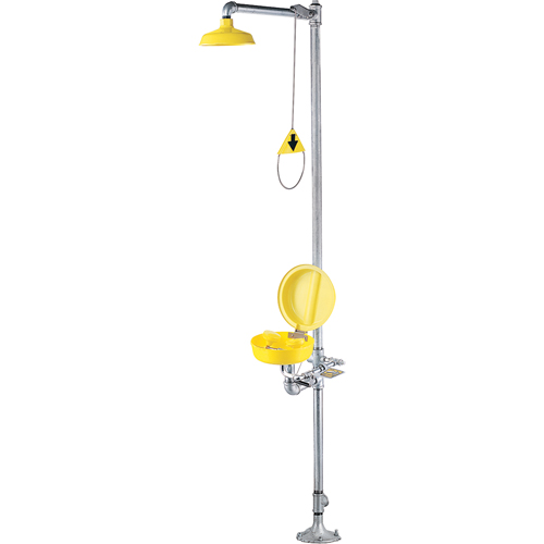 Combination Shower Eye/Face Wash With Cover Cam Industrial
