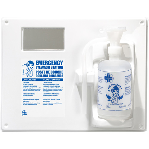 Eyewash Station - Single Station With Empty Bottle Cam Industrial