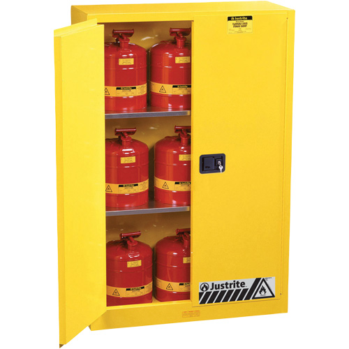Armoires Sure-Grip EX pour produits inflammables, 45 gal., 2 Porte(s), 43" La x 65" h x 18" p Cam Industrial