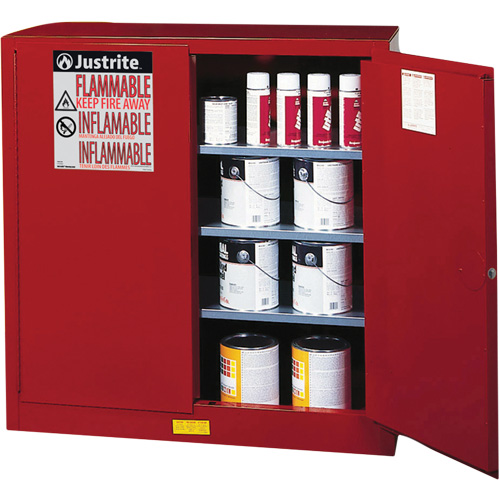 Armoire de s&eacute;curit&eacute; pour la peinture et les encres combustibles EX Sure-Grip, 40 gal., 3 tablettes Cam Industrial
