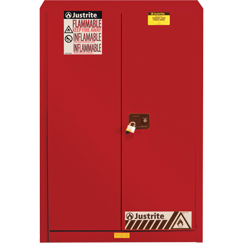 Armoire de s&eacute;curit&eacute; pour la peinture et les encres combustibles EX Sure-Grip, 60 gal., 5 tablettes Cam Industrial