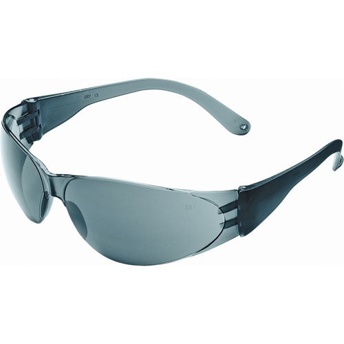 Lunettes de s&eacute;curit&eacute; Checklite Duramass, Lentille Grise/fum&eacute;e, Antibu&eacute;e/Anti-&eacute;gratignures, ANSI Z87+/R&eacute;pond ou surpasse la norme CSA Z94.3 Cam Industrial
