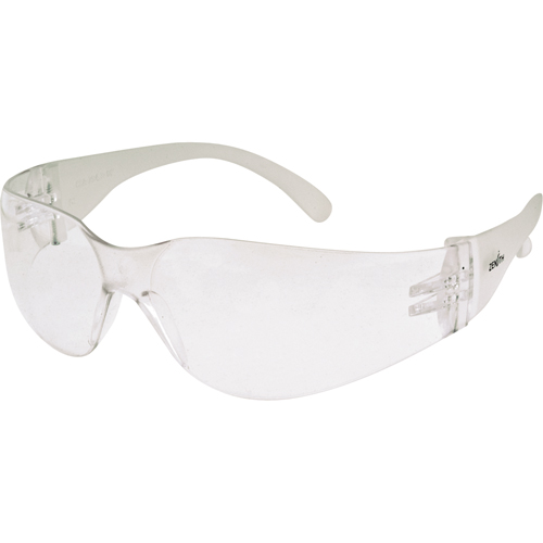 Z600 Series Safety Glasses, Clear Lens, Anti-Fog/Anti-Scratch, ANSI Z87+/Meets/Exceeds CSA Z94.3 Cam Industrial