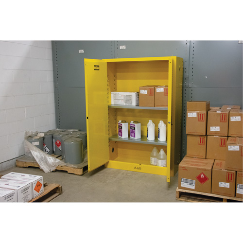 Armoire pour produits inflammables, 45 gal., 2 Porte(s), 43" La x 65" h x 18" p Cam Industrial