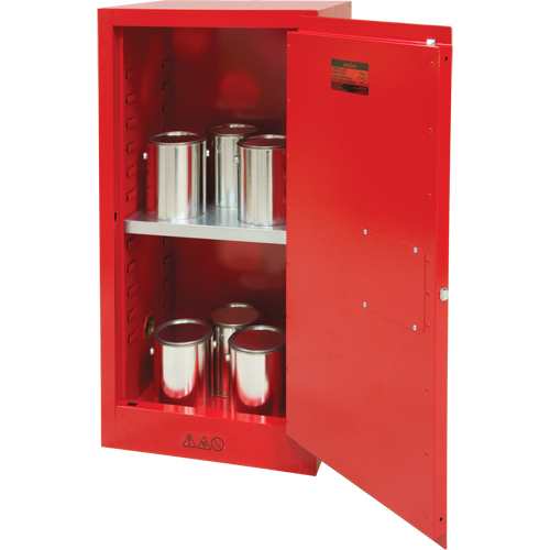 Armoire pour peintures et encres, 20 gal. Cam Industrial