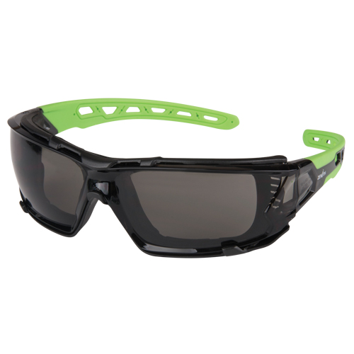 Z2500 Series Safety Glasses with Foam Gasket, Grey/Smoke Lens, Anti-Scratch, ANSI Z87+/Meets/Exceeds CSA Z94.3 Cam Industrial