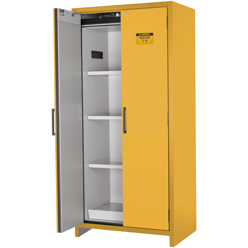 Armoire d'entreposage 90 minutes s&eacute;curitaire et conforme &agrave; la norme EN, 30 gal., 2 Porte(s), 35,16" La x 76,89" h x 24,21" p Cam Industrial