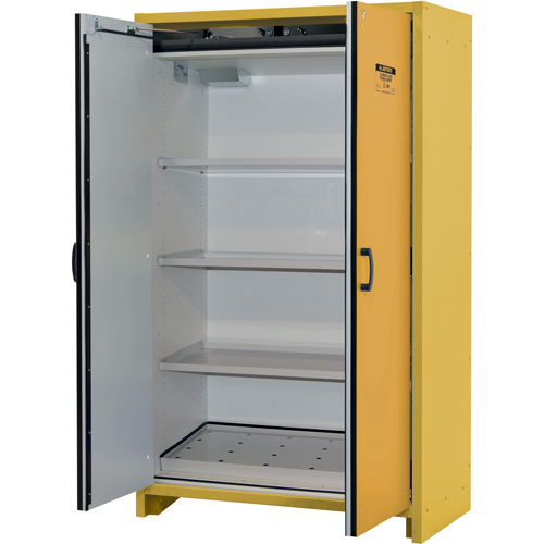 30-Minute EN Safety Storage Cabinet, 45 gal., 2 Door, 45.83" W x 76.65" H x 24.21" D Cam Industrial