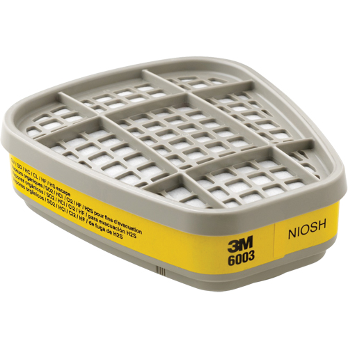 Cartouches pour respirateur s&eacute;rie 6000, Cartouche gaz/vapeur, Vapeurs organiques/Gaz acides Cam Industrial