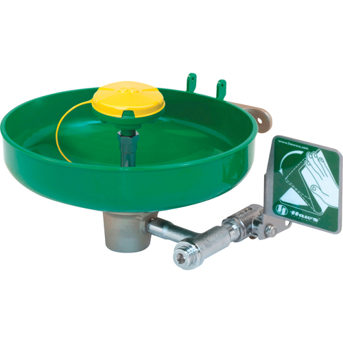 Axion&reg; Eye/Face Wash Station, Wall-Mount Installation, Plastic Bowl Cam Industrial