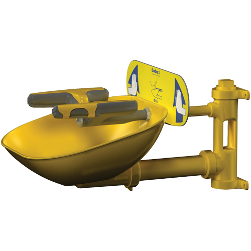 Halo Face/Eyewash Stations, Wall-Mount Installation, Plastic Bowl Cam Industrial