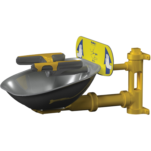 Halo Face/Eyewash Stations, Wall-Mount Installation, Stainless Steel Bowl Cam Industrial