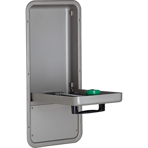 Eye/Face Wash Station, Wall-Mount Installation, Stainless Steel Bowl Cam Industrial