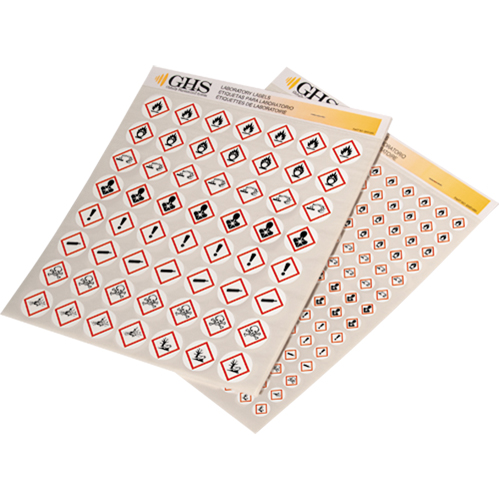 Assortiment d'&eacute;tiquettes avec pictogrammes sgh, Vinyle, Feuille, 1" lo x 1" la Cam Industrial
