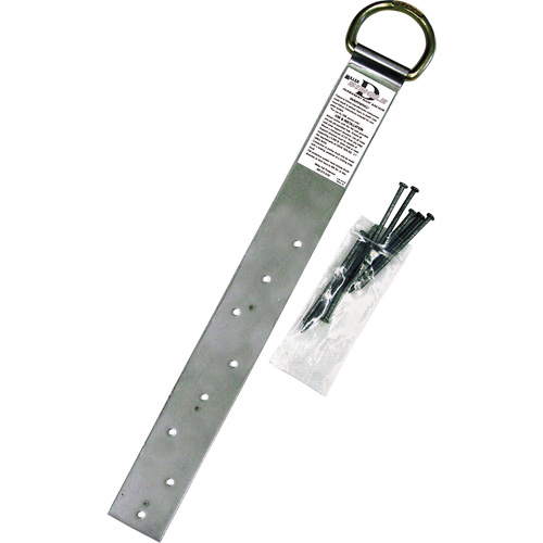 Miller&reg; Single Roof Anchor, D-Ring, Permanent Use Cam Industrial